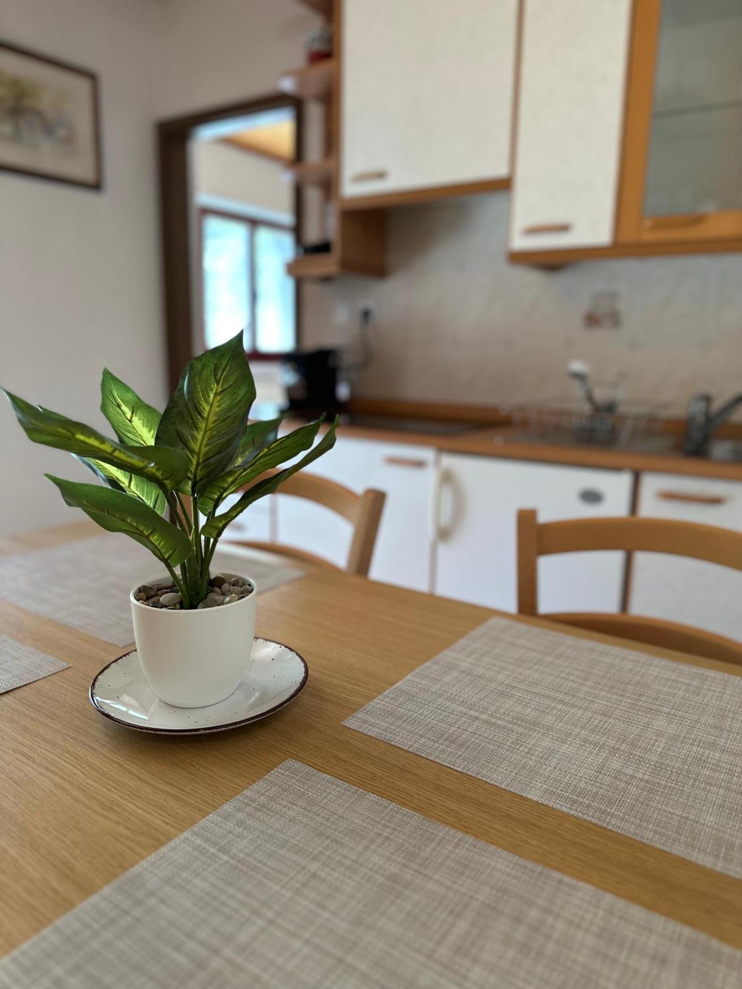 Apartment Jozi 소카 객실 사진